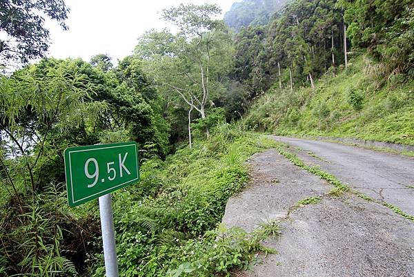 郡大山賞花行