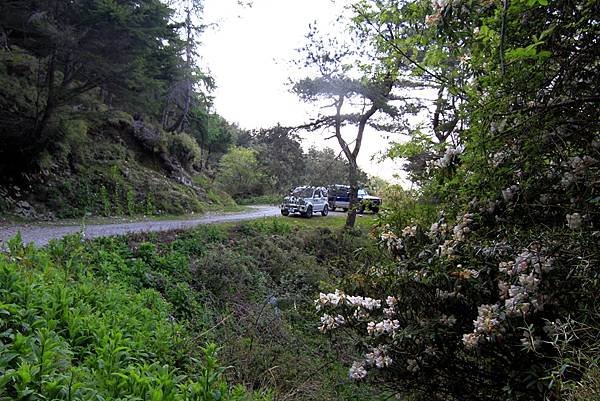 郡大山賞花行