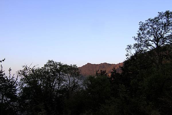 郡大山賞花行