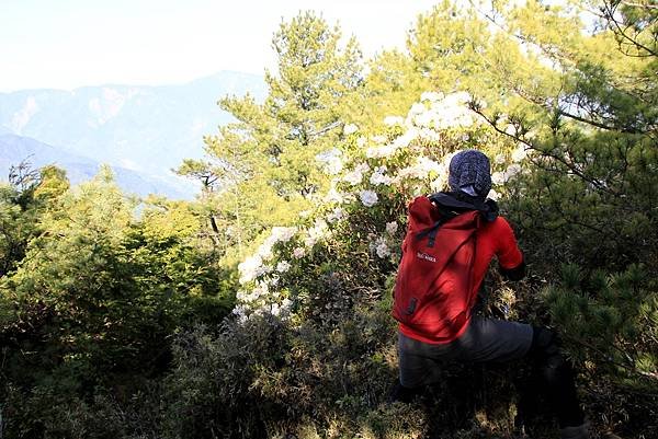 郡大山賞花行