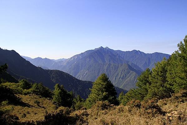 郡大山賞花行