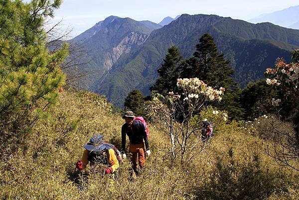 郡大山賞花行