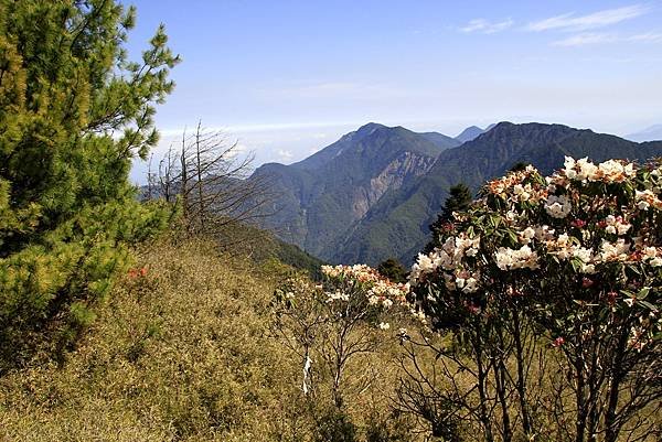 郡大山賞花行