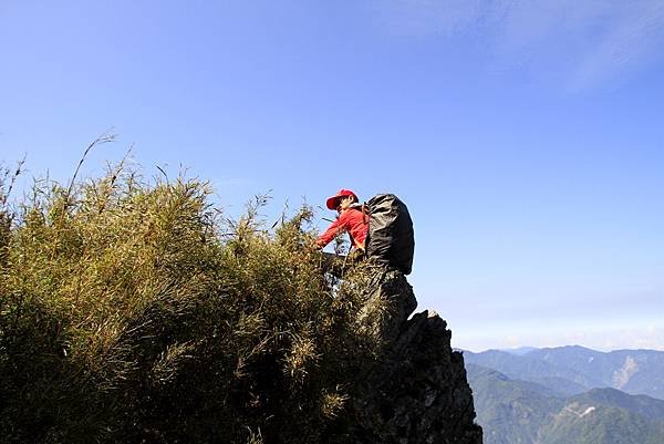 郡大山賞花行