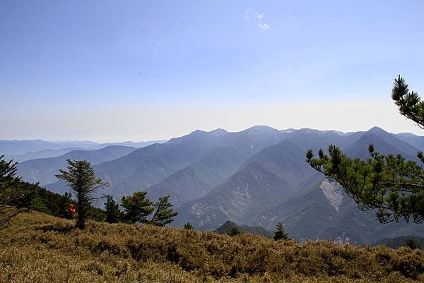 郡大山賞花行