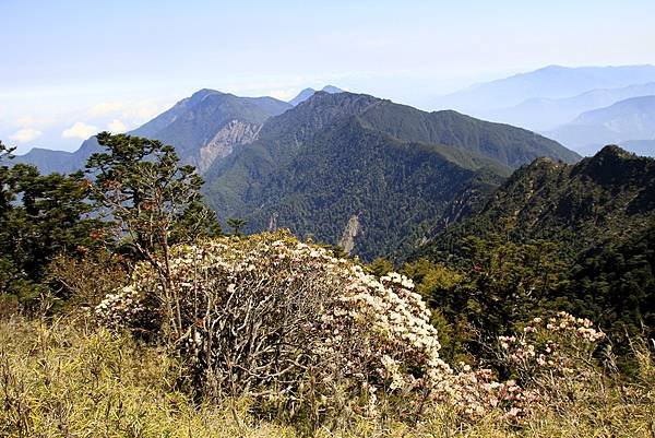 郡大山賞花行