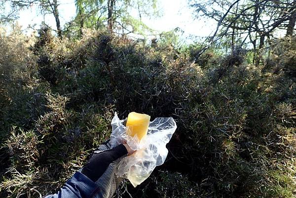 郡大山賞花行