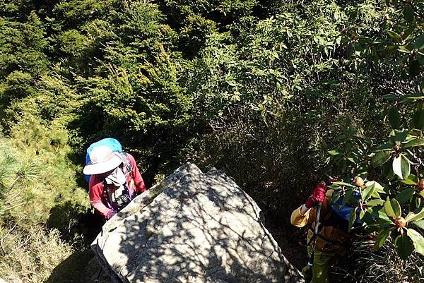 郡大山賞花行