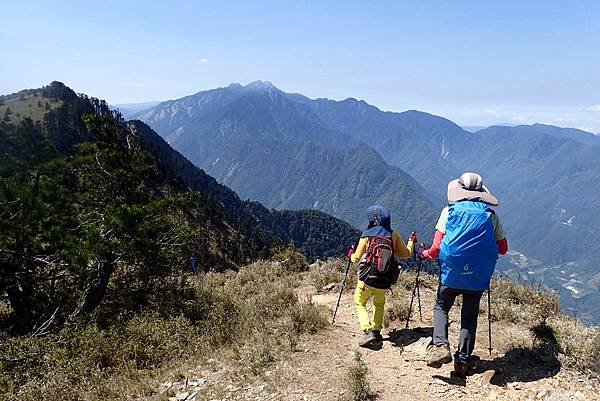 郡大山賞花行