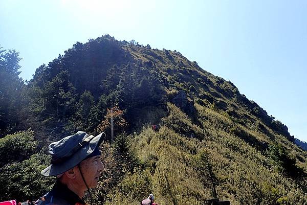 郡大山賞花行