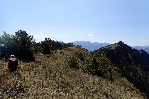 郡大山賞花行