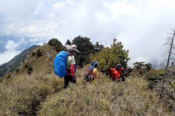 郡大山賞花行