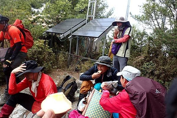 郡大山賞花行