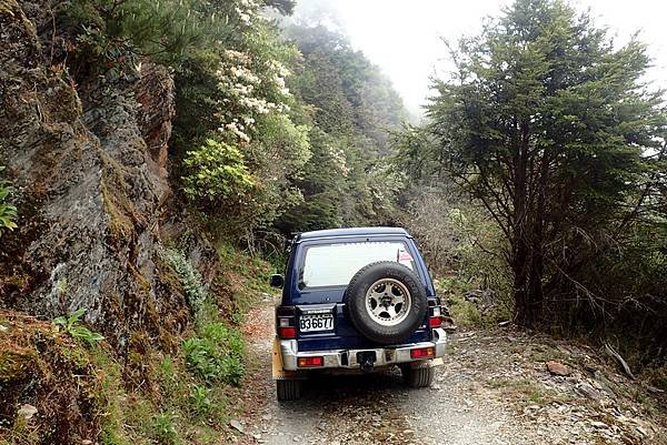 郡大山賞花行