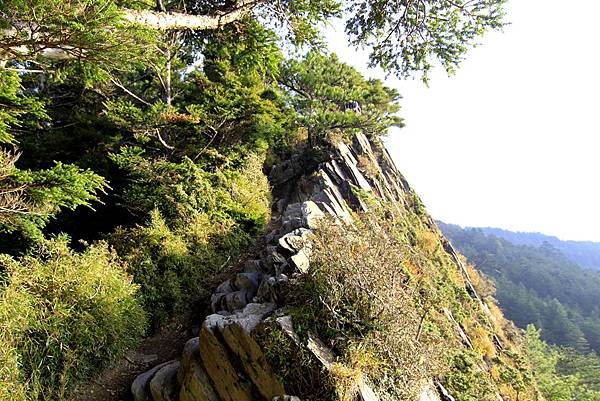 合歡西峰一日遊