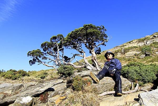 合歡西峰一日遊