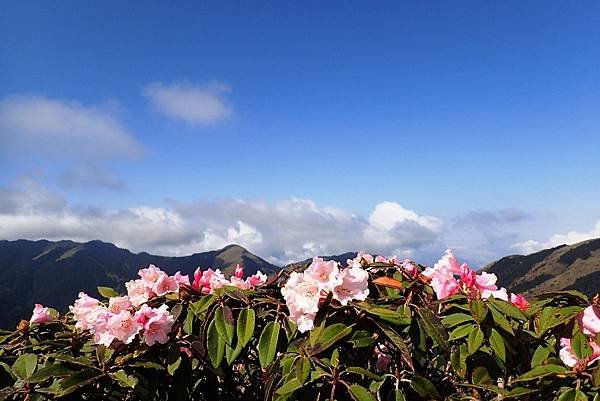 合歡西峰一日遊