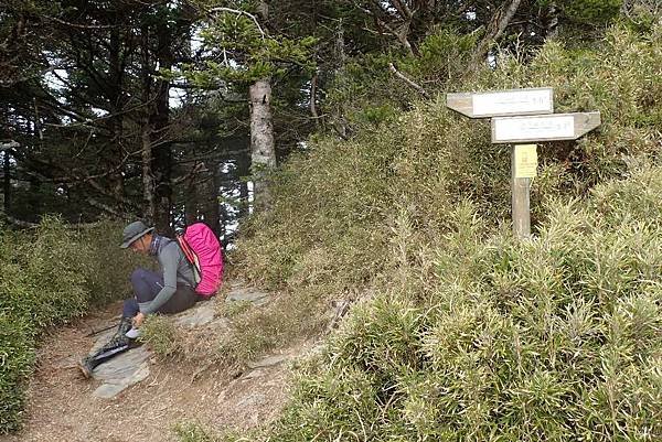 合歡西峰一日遊