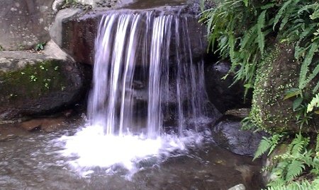 流水華年