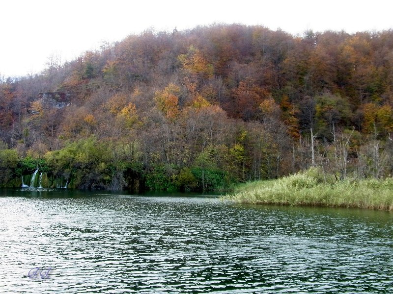 R0022632