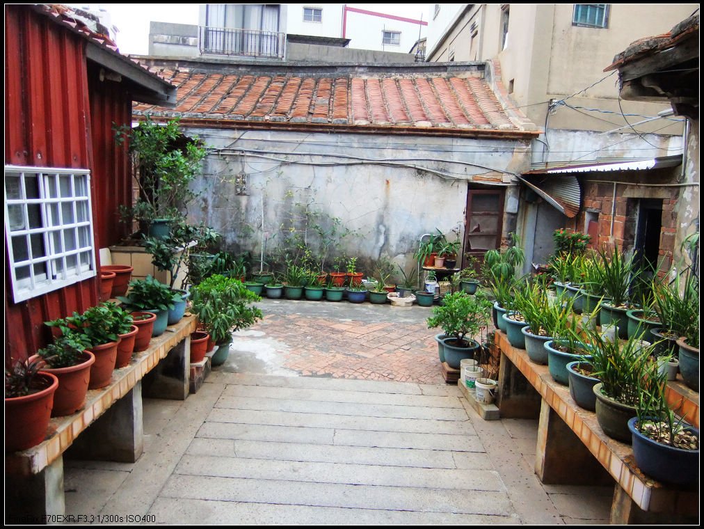 DSCF2150.JPG