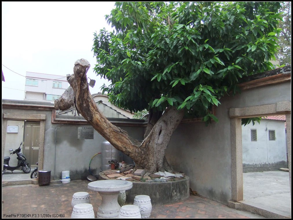 DSCF2159.JPG