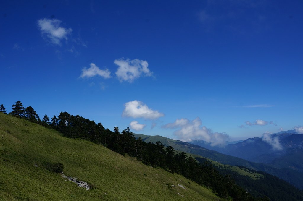 DSC01021.JPG