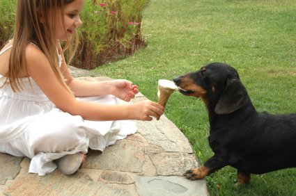 Dog-eating-ice-cream