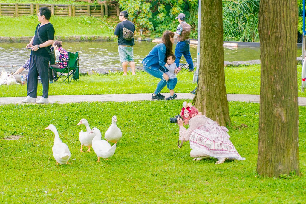 花見。湖畔野餐聚