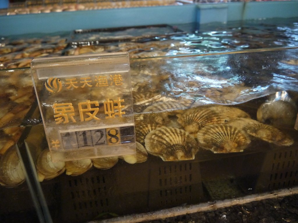 2014金廈之旅D2