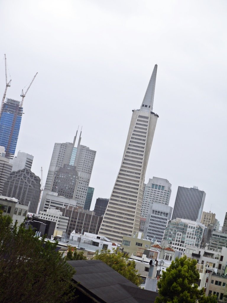 The Coit Tower