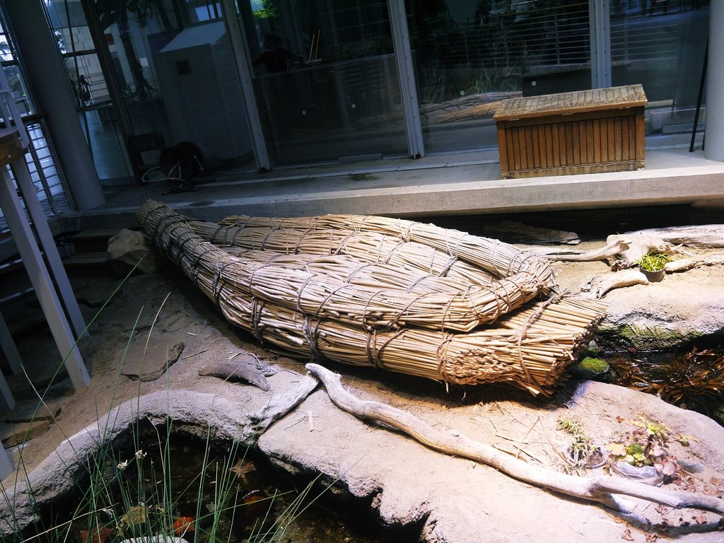 California Academy of Sciences