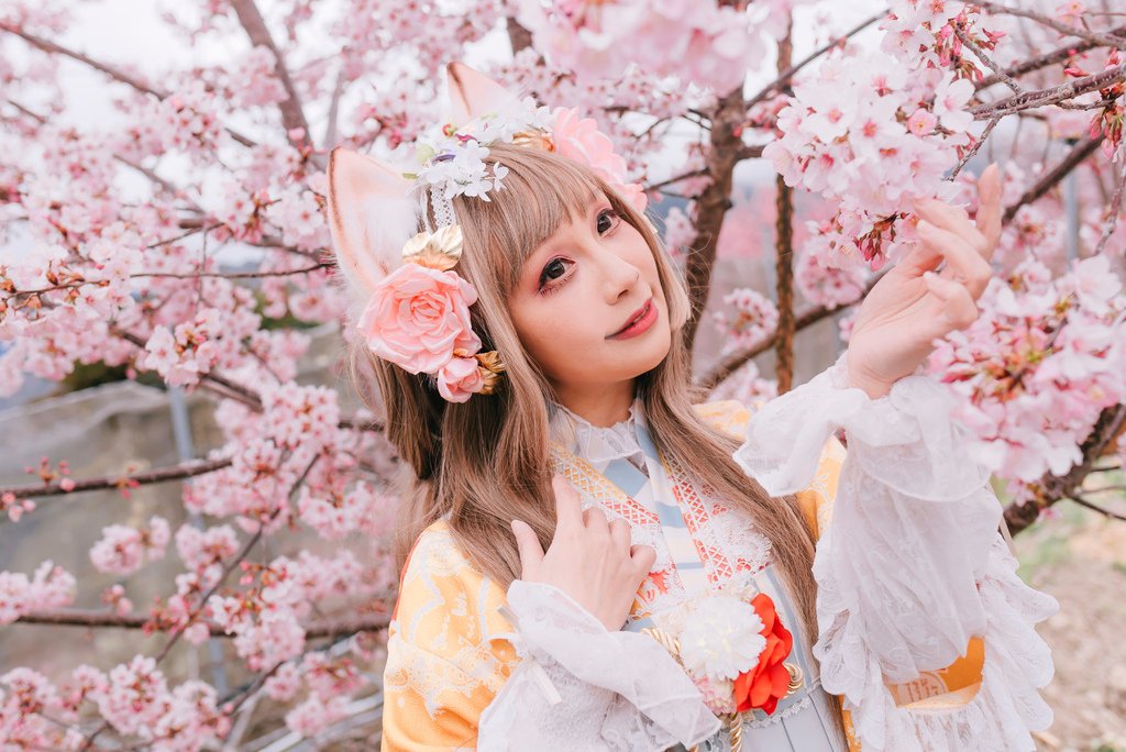 2023 拉拉山櫻花季