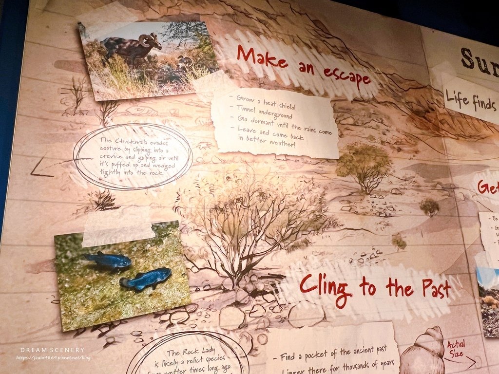 【美國-California】一日觀光自駕遊│死亡谷國家公園