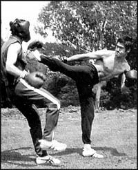 bruce lee jkd.jpg