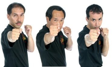 Bruce Lee ted wong straight lead.jpg