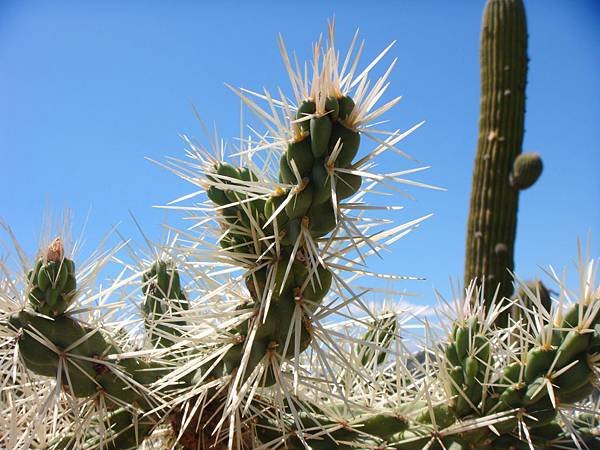 DSC00635