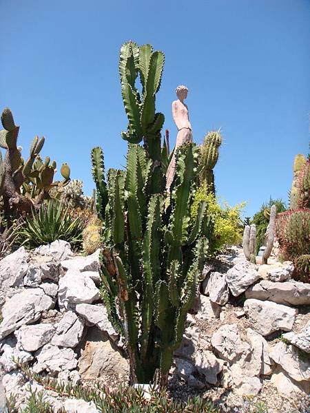 DSC00575