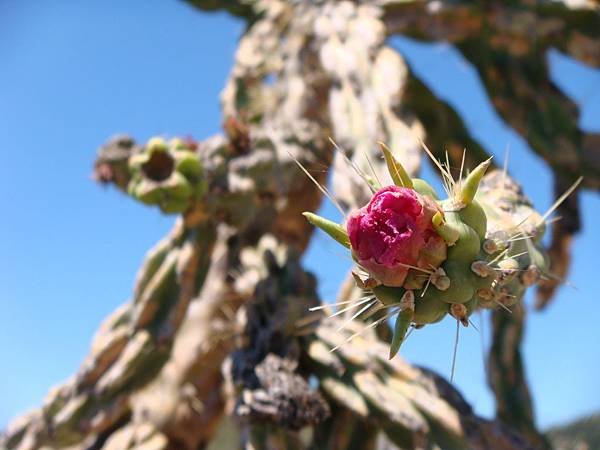 DSC00558