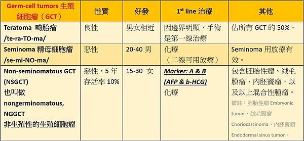 生殖細胞瘤.jpg