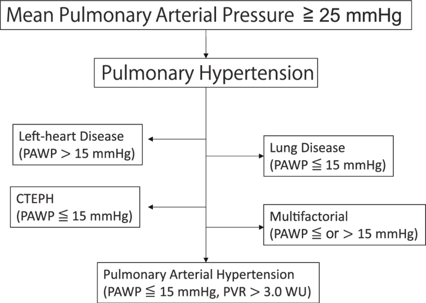 Diagnostic-algorithm-for-pulmonary-arterial-hypertension-Differential-diagnosis-of.png