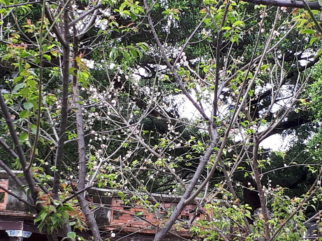 板橋林家花園