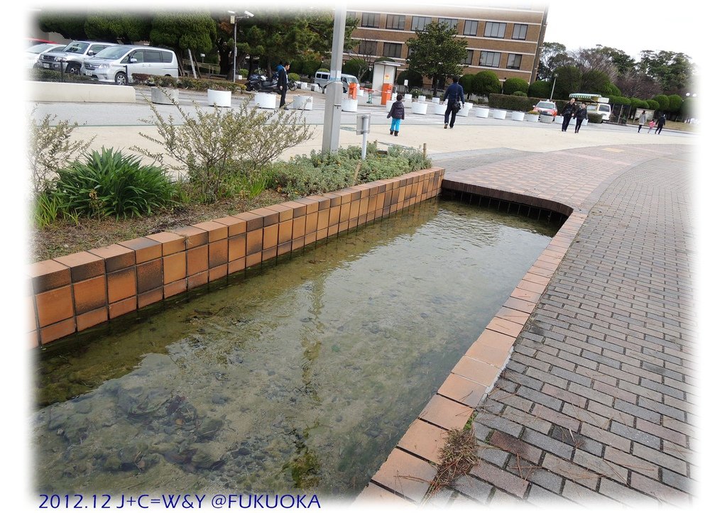 12.29 大濠公園 5