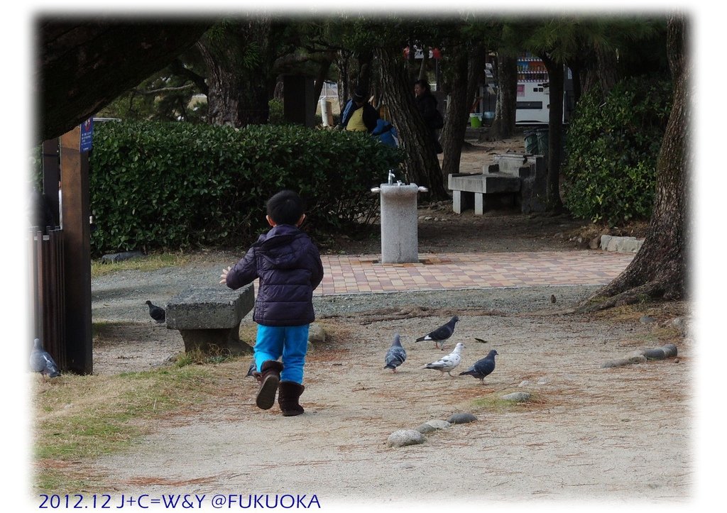 12.29 大濠公園 10