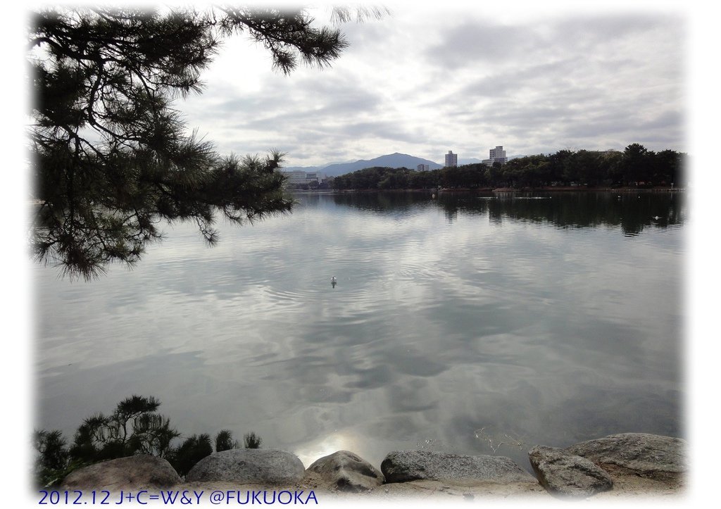 12.29 大濠公園 11