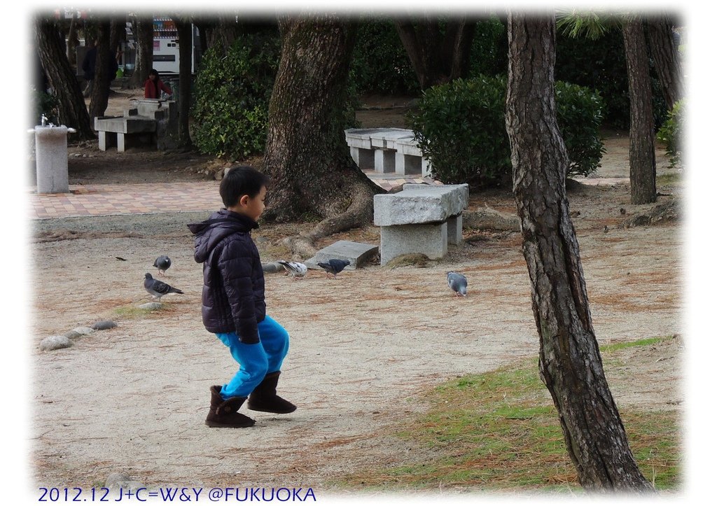 12.29 大濠公園 12