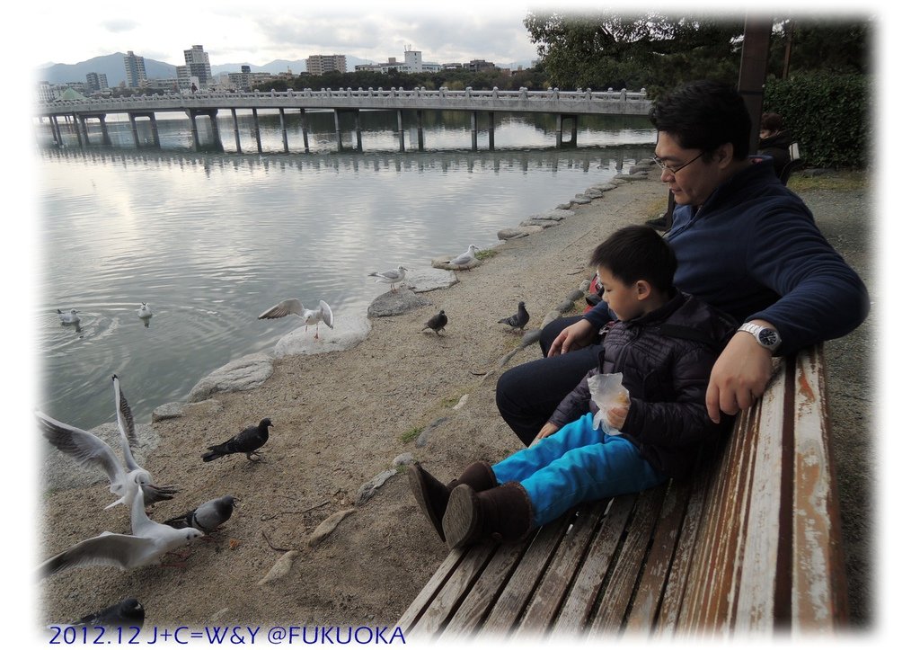 12.29 大濠公園 15