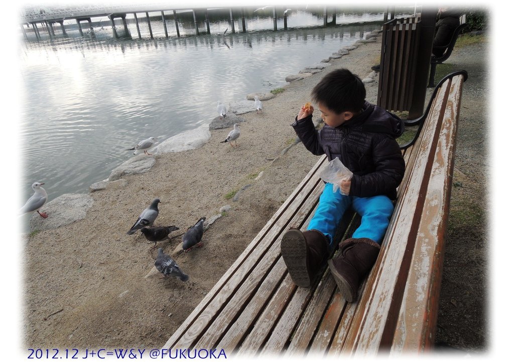 12.29 大濠公園 16