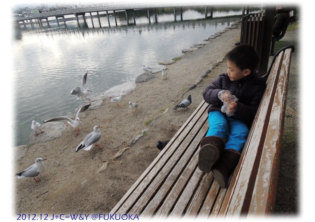 12.29 大濠公園 17