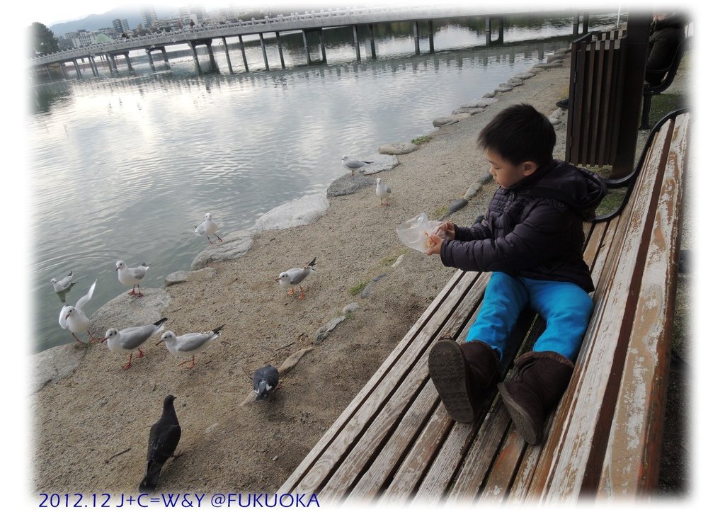 12.29 大濠公園 18